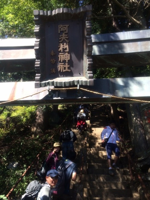 阿夫利神社の鳥居