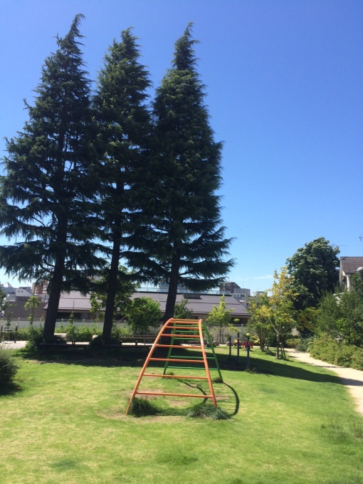 中央に大きな三本の杉の木