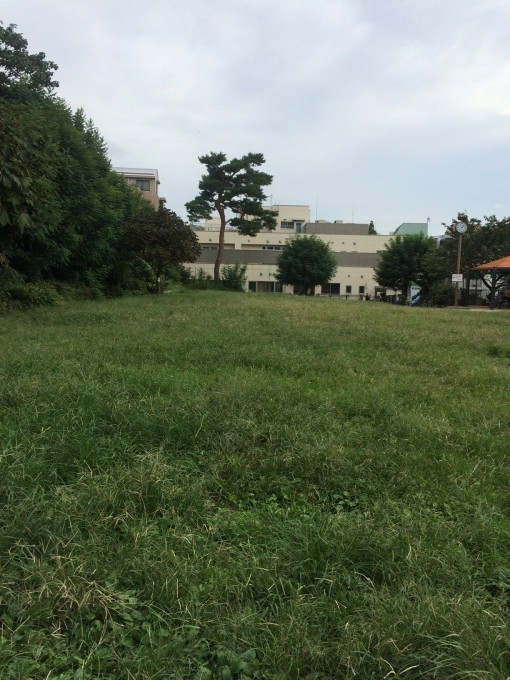 150913明治神宮①