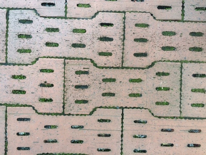 近くで見るとこんな感じ コケが生えている