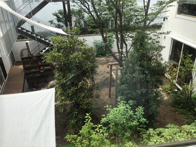 木の生い茂る園庭　ちょっと狭い