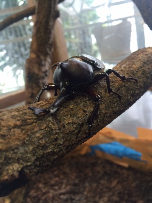 150812植物センター③