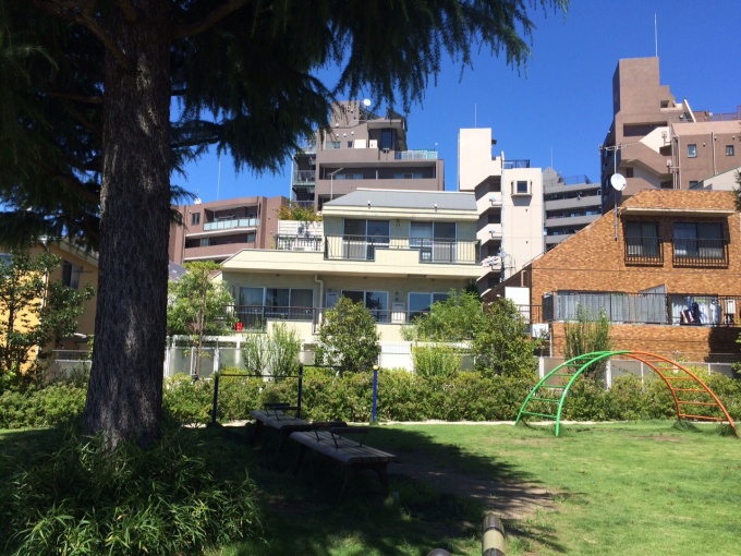 木陰が気持ちいい